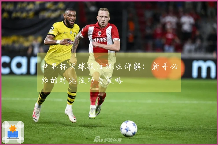 世界杯买球投注玩法详解：新手必知的对比技巧与策略