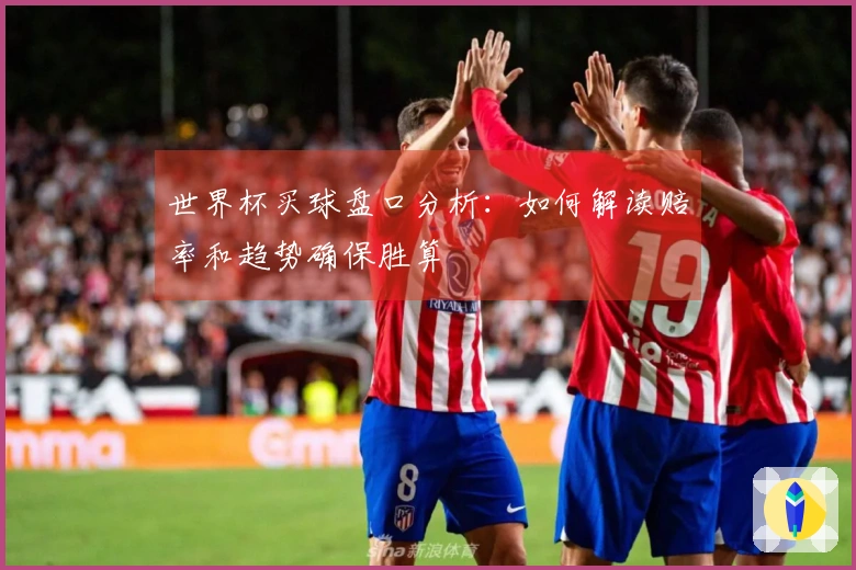 世界杯买球盘口分析：如何解读赔率和趋势确保胜算