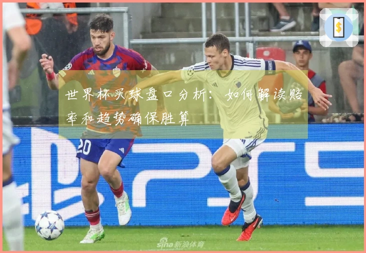 世界杯买球盘口分析：如何解读赔率和趋势确保胜算