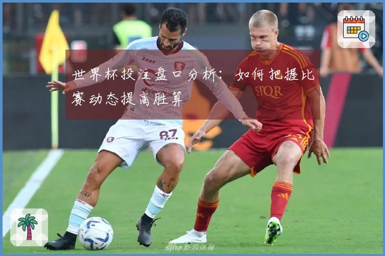 世界杯投注盘口分析：如何把握比赛动态提高胜算