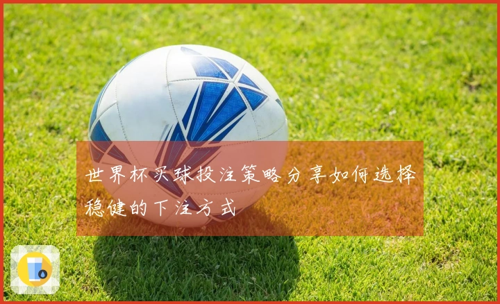 世界杯买球投注策略分享如何选择稳健的下注方式