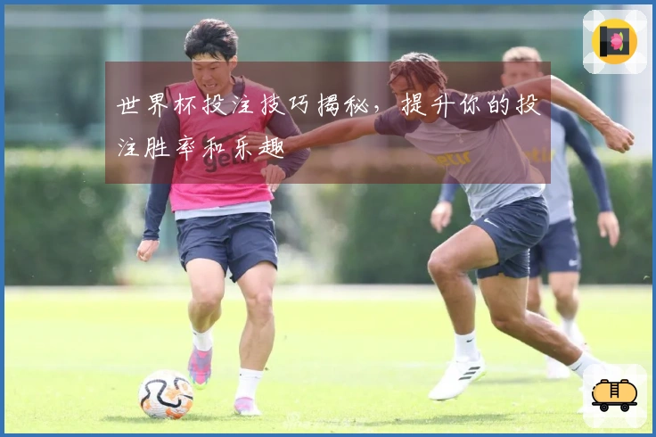 世界杯投注技巧揭秘，提升你的投注胜率和乐趣