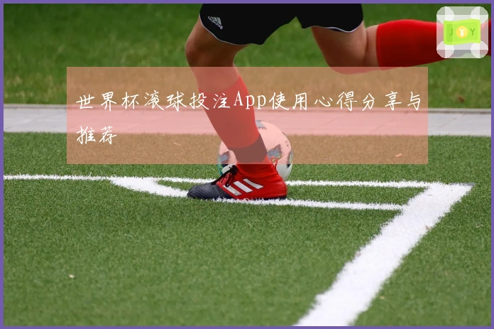世界杯滚球投注App使用心得分享与推荐