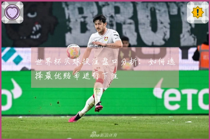 世界杯买球投注盘口分析：如何选择最优赔率进行下注
