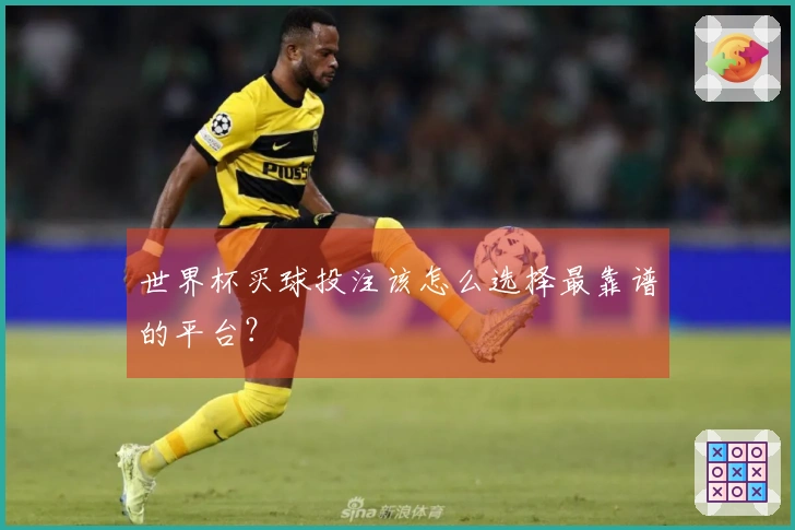 世界杯买球投注该怎么选择最靠谱的平台？